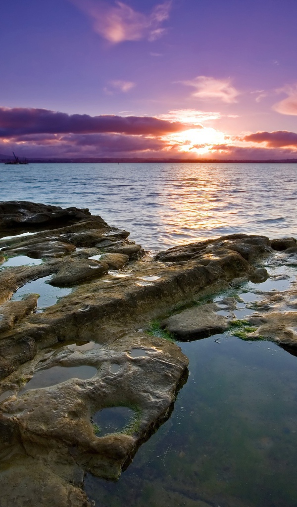 Закат в Окленде