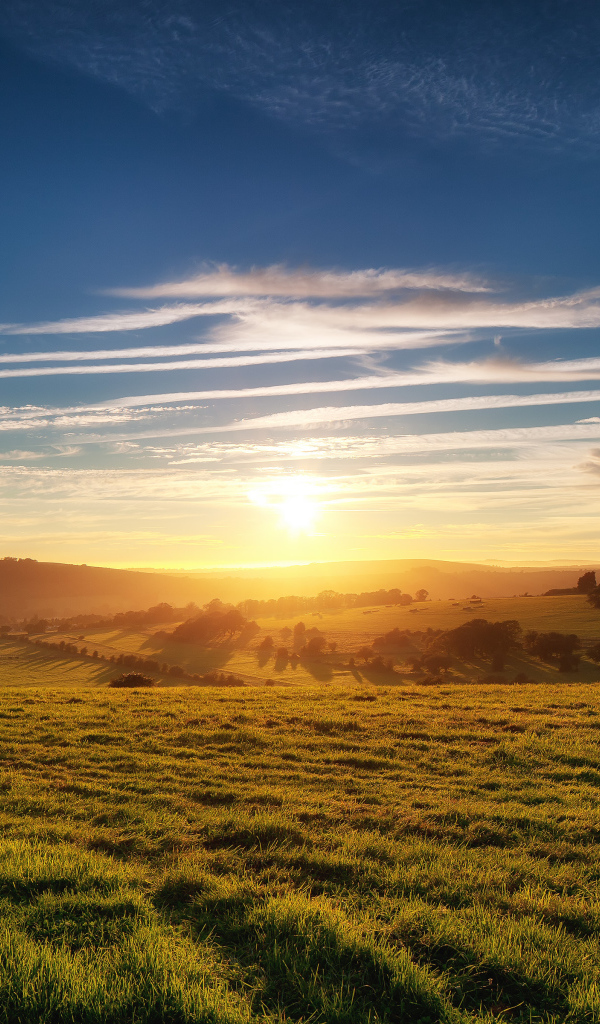 Ясное небо и красивый закат