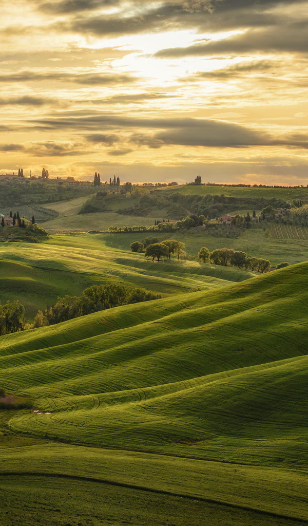 Красочный пейзаж с закатом