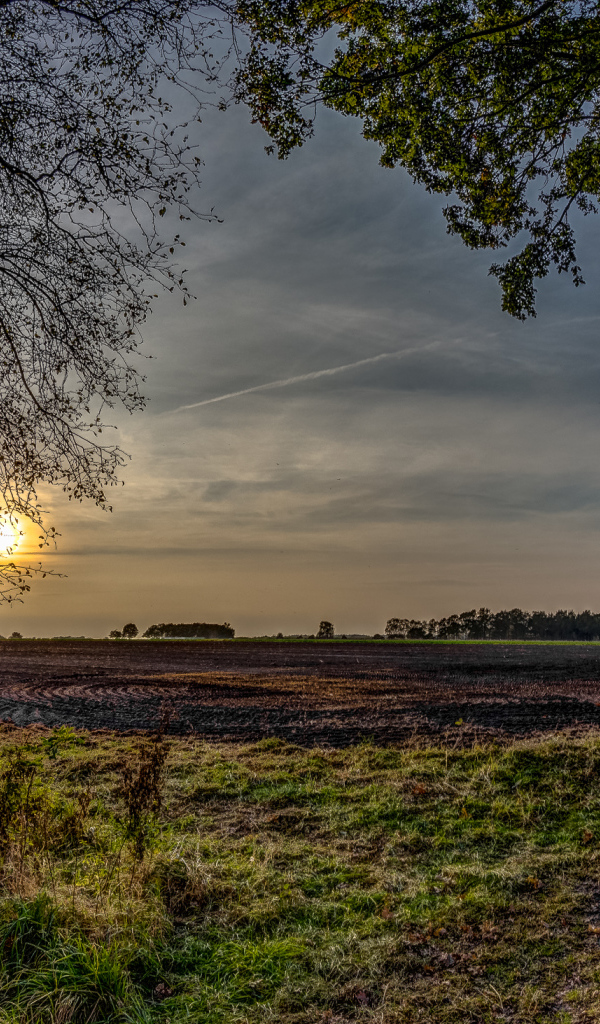 Убранное поле перед закатом