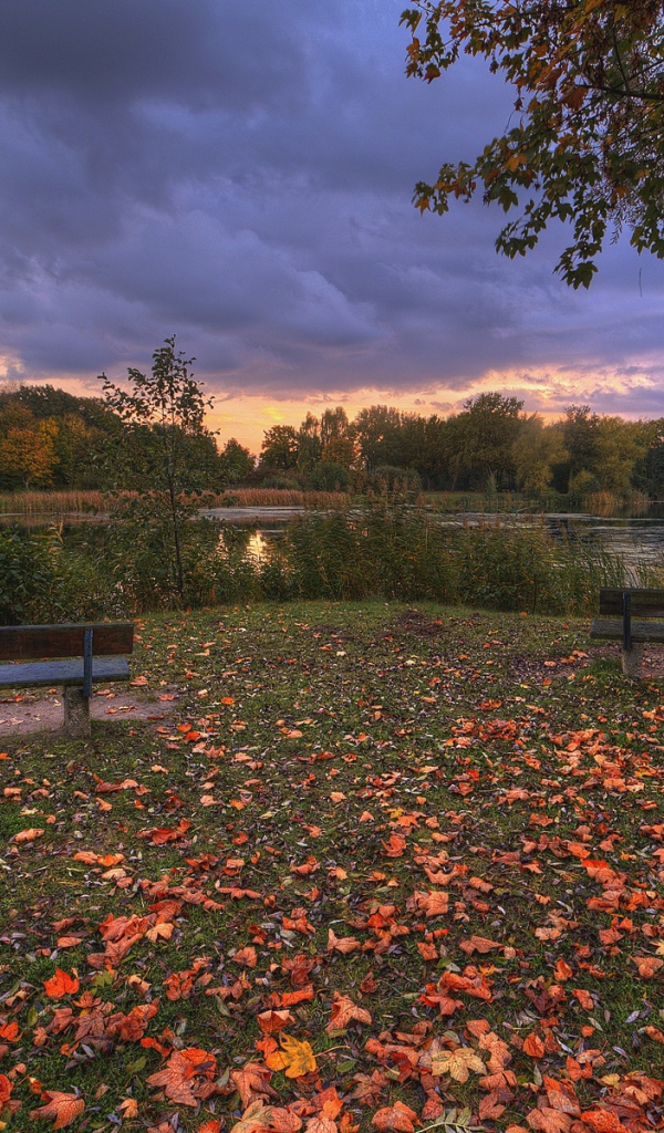 Отдых у озера перед закатом