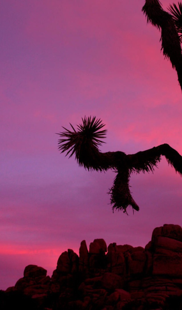 Национальный парк Калифорнии закат солнца