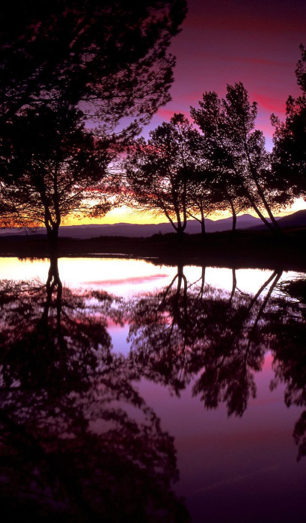 Розовое небо над озером