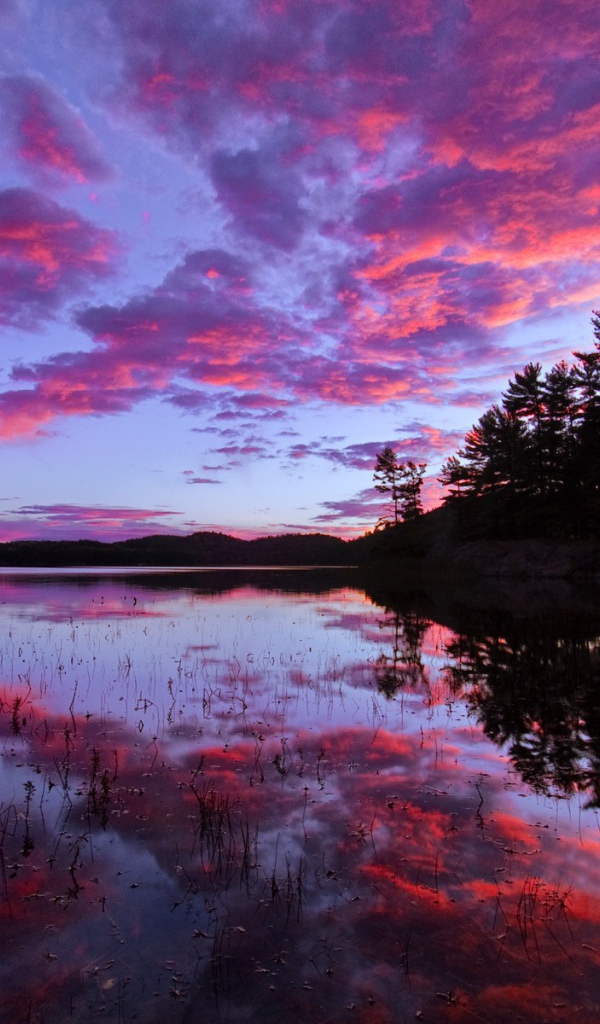 Розовый закат над озером