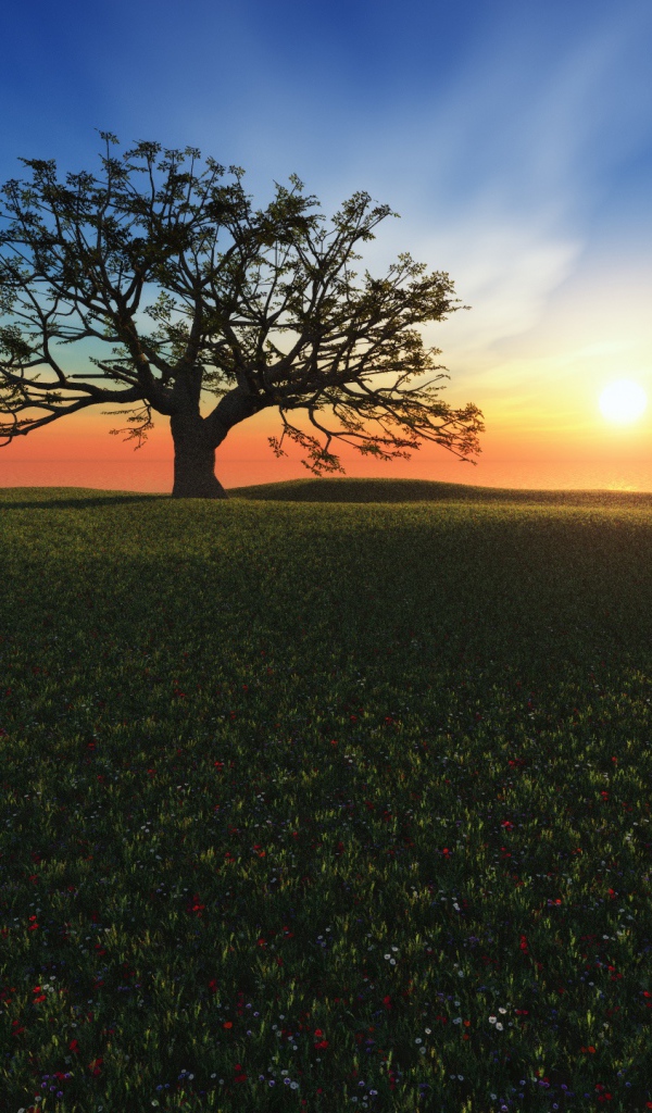 Закат на холме