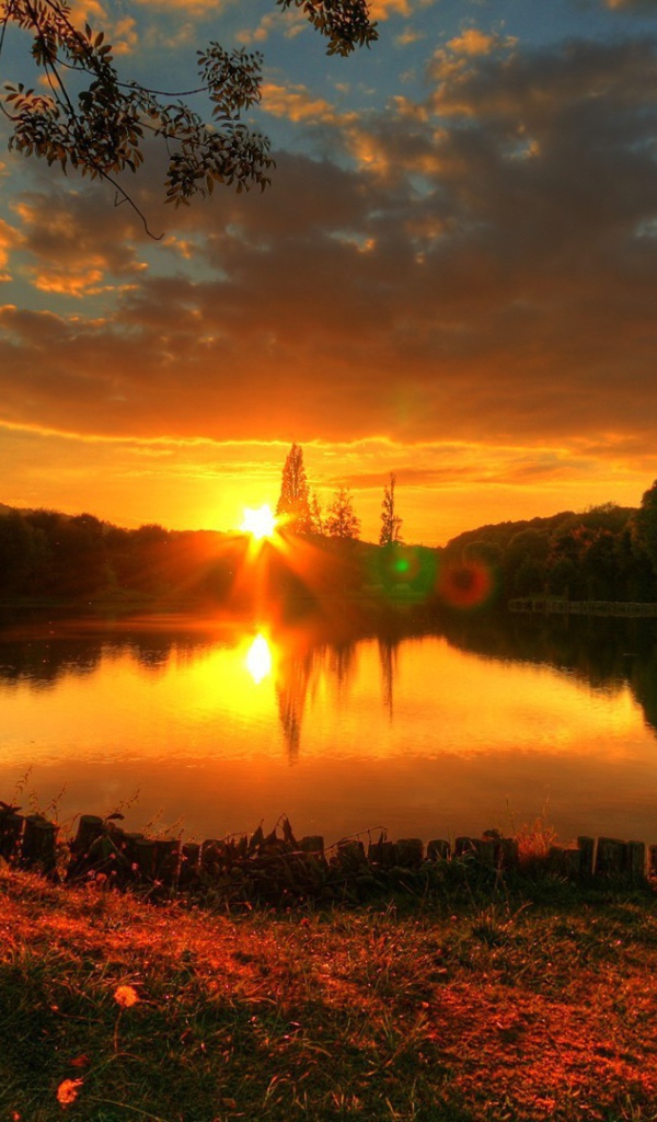 Закат у лесного озера