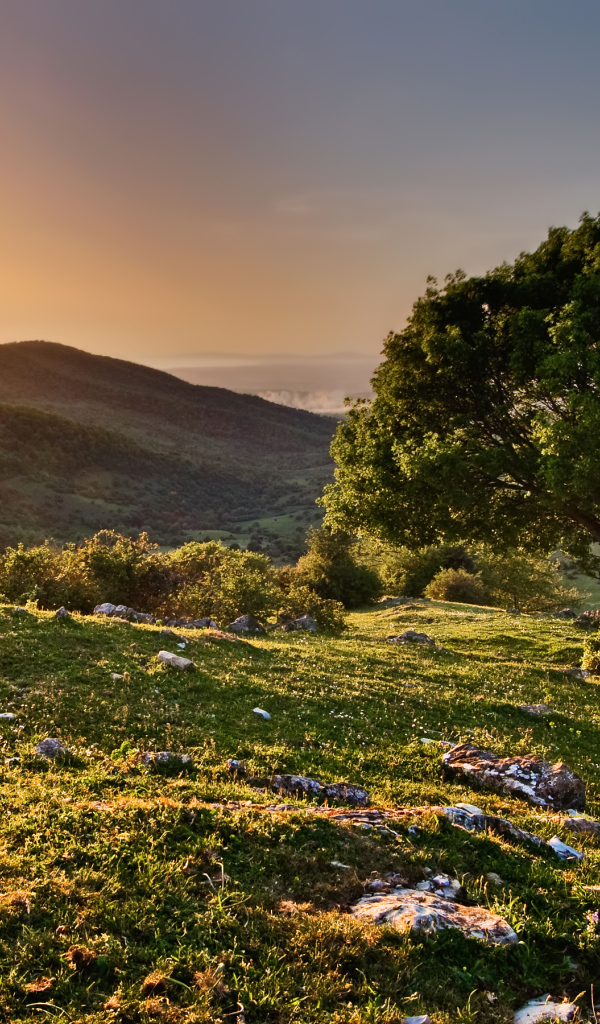 Закат в заповеднике