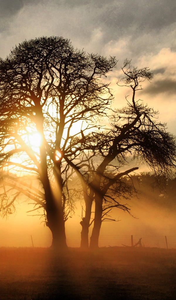 Закат на поле