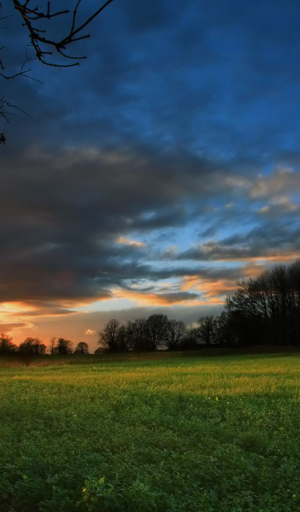 Закат на зеленом поле