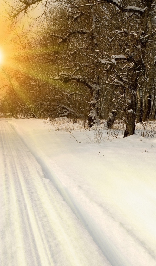 Закат на зимней дороге