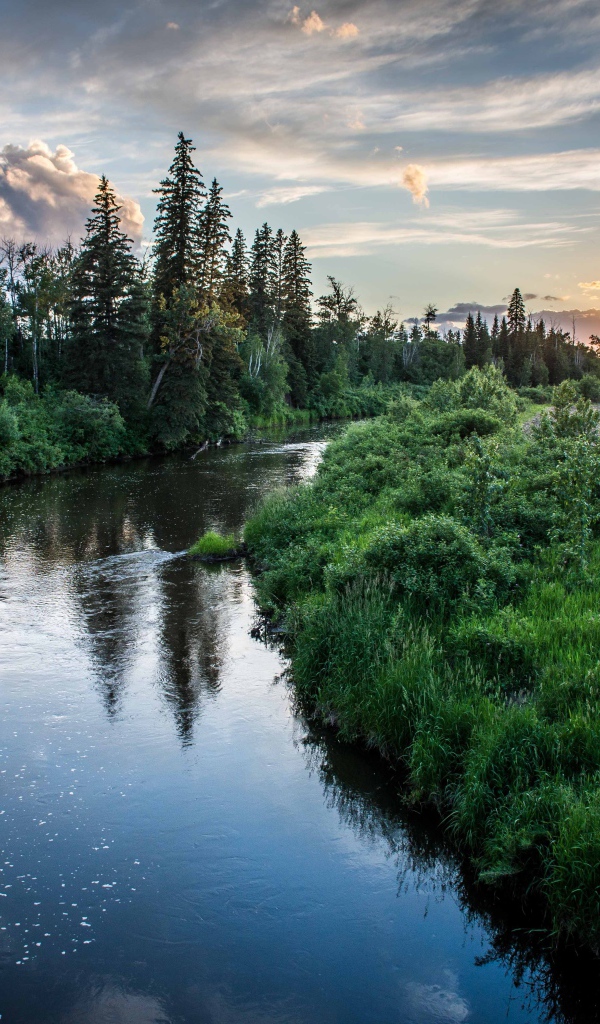 Закат над лесной рекой