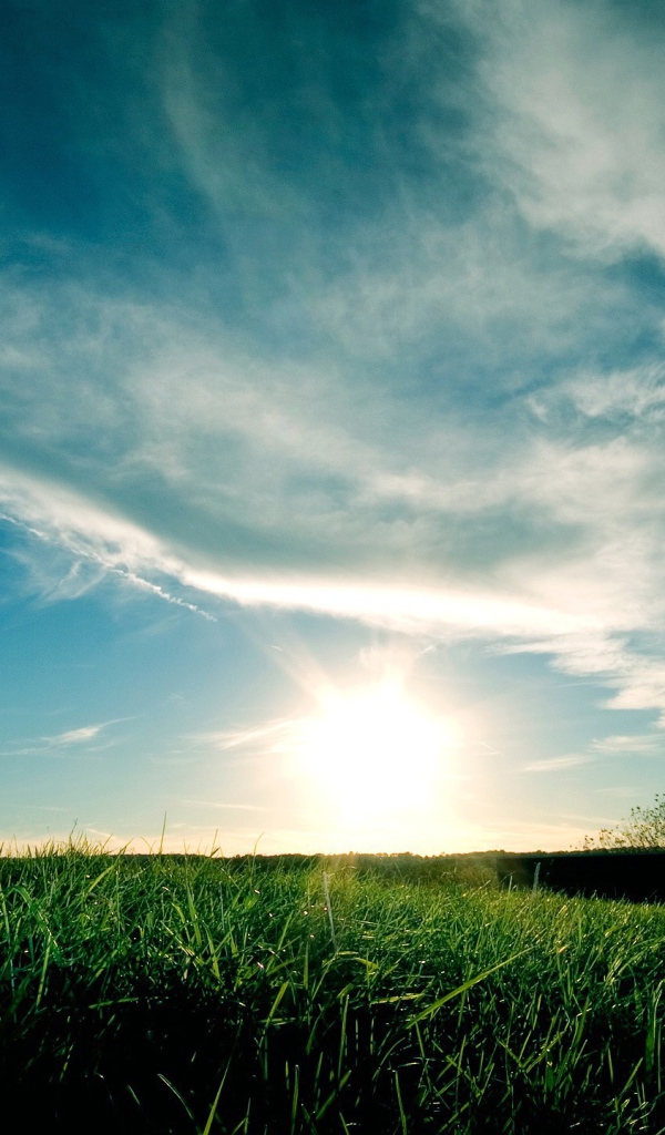 Закат над полем