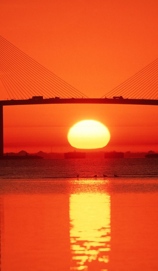 Солнце под мостом