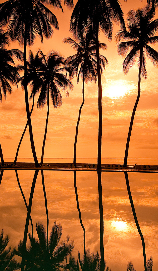 Закат у бунгало