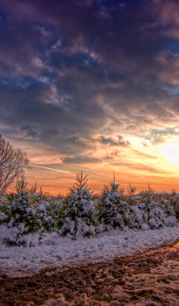 Зимняя дорога в закат