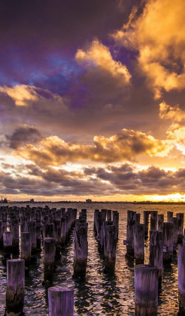 Деревянные сваи в воде
