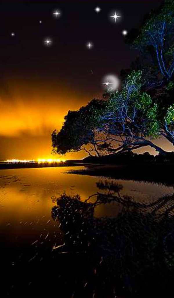 Звезды на ночном небе