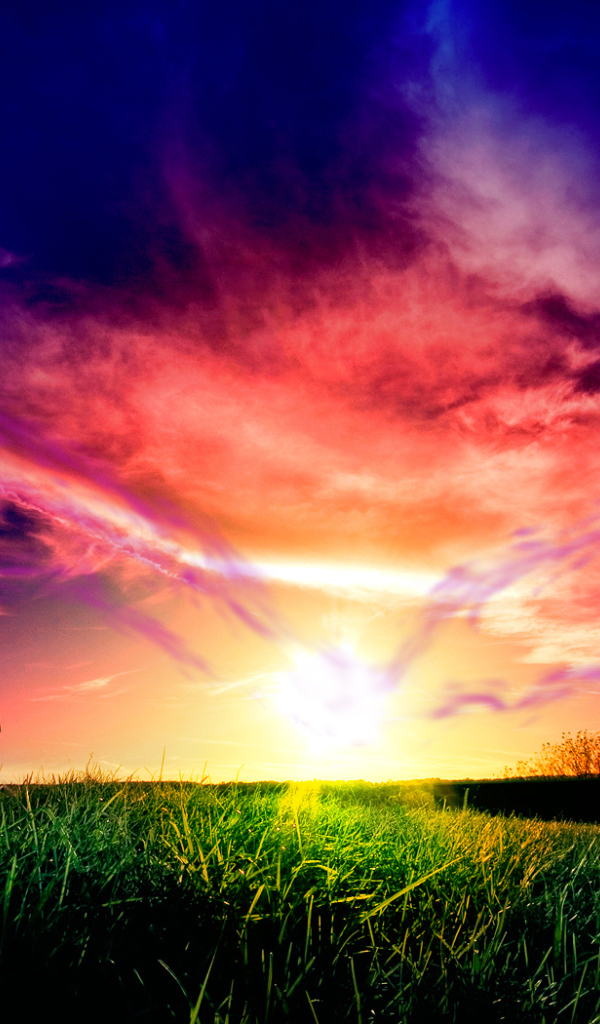 Красивый закат над полем