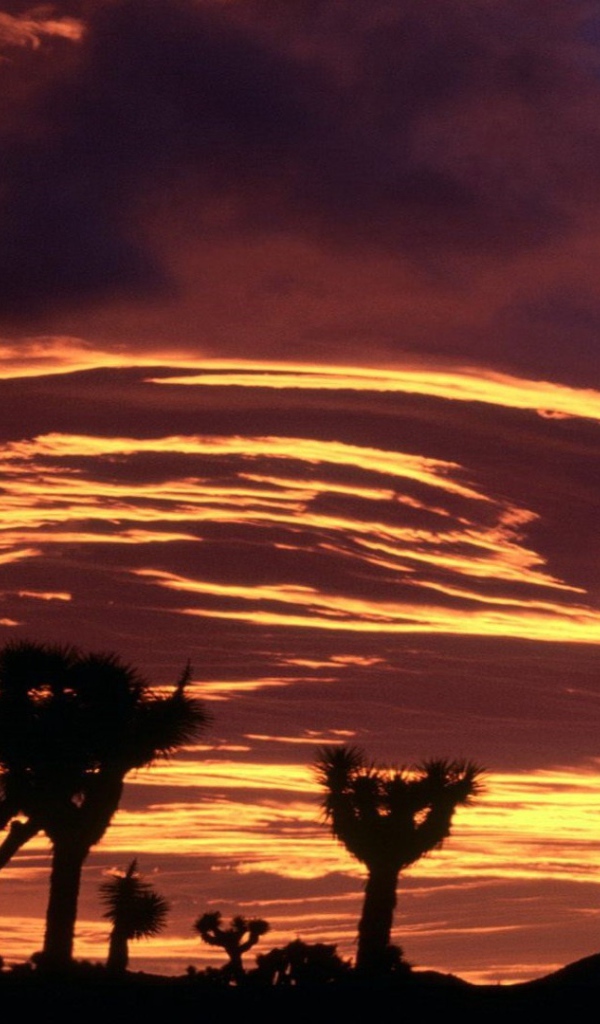 Облака на закате