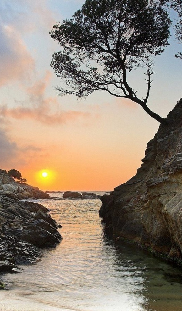 Пейзаж с развалинами и закатом