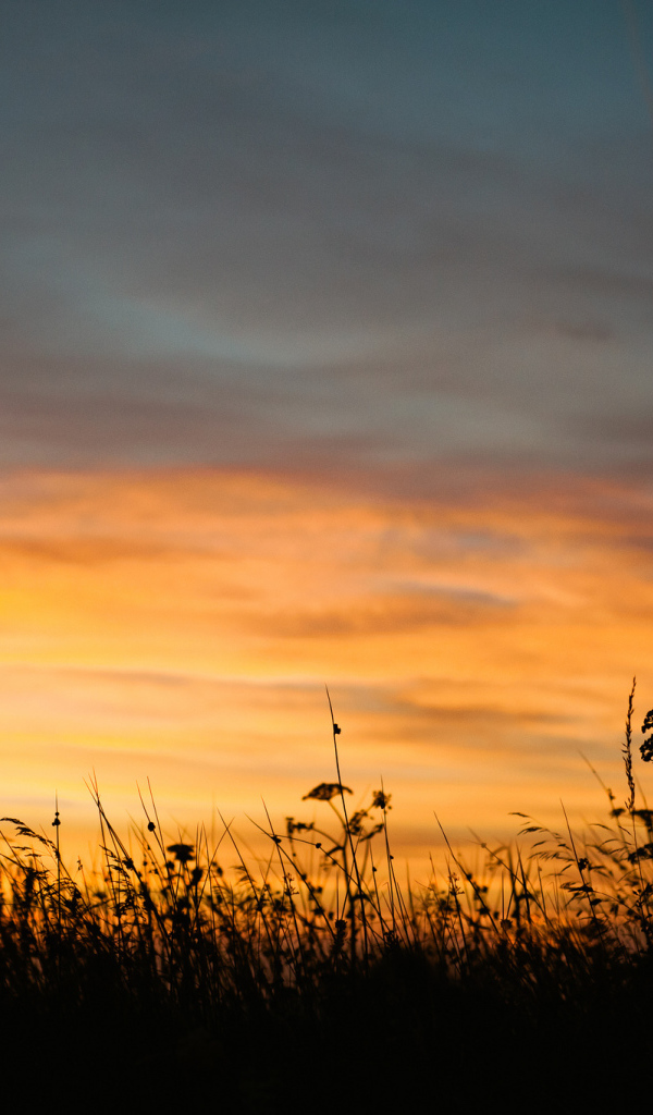 Летний закат