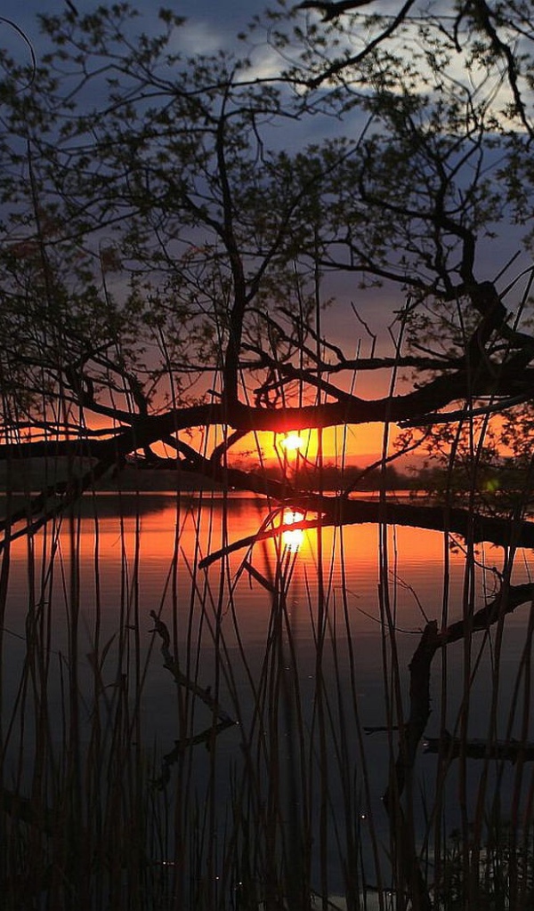 Закат на тихом озере