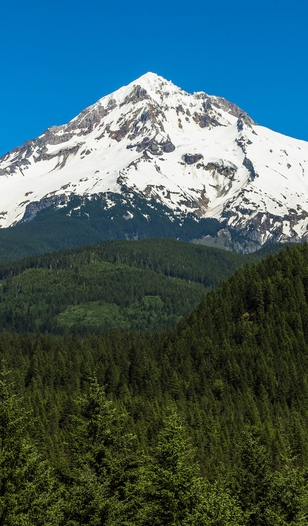 Стратовулкан Маунт-Худ