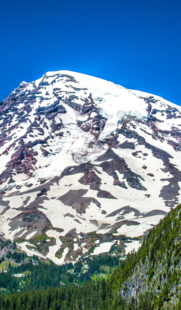 Стратовулкан Рейнир, штат Вашингтон, США