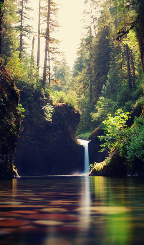 Разноцветные блики на воде