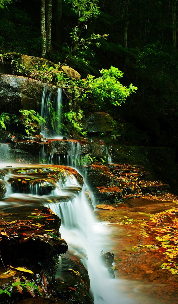 Ручей с водопадом