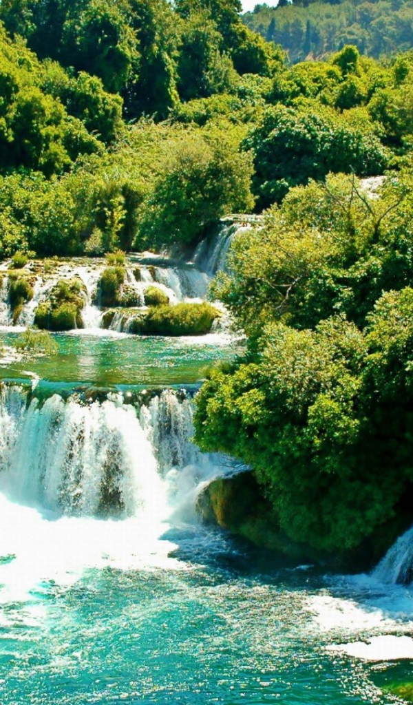 Водопад среди деревьев