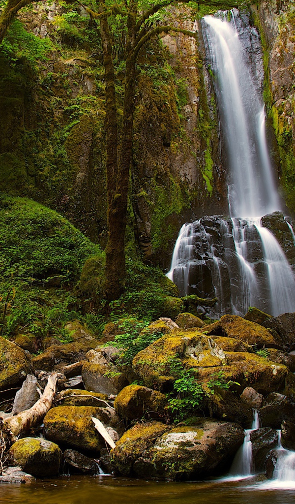 Водопад со скалы