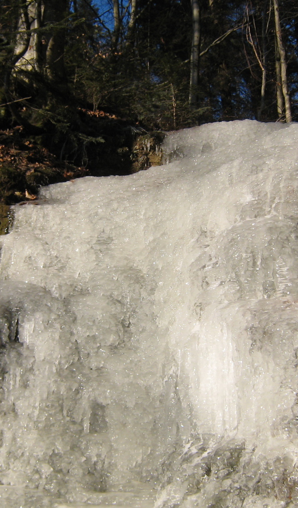 Замерзший водопад в лесу