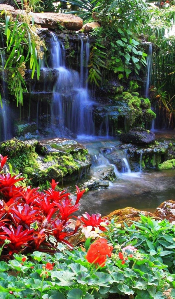 Красные цветы у водопада