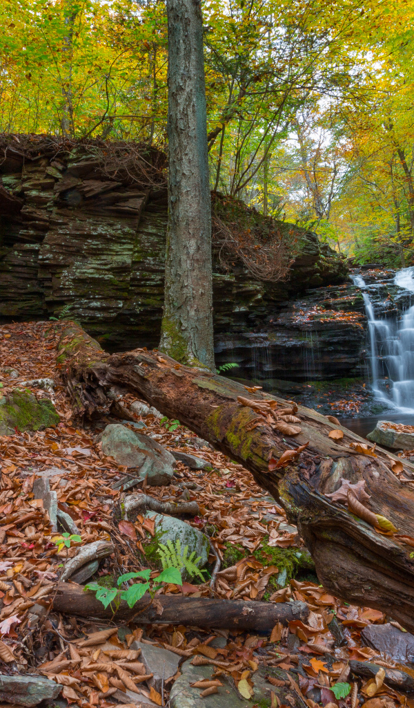 Скалы с водопадом