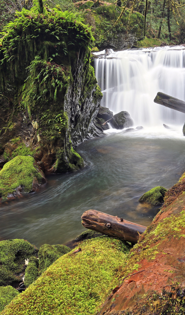 Маленький, красивый водопад в США