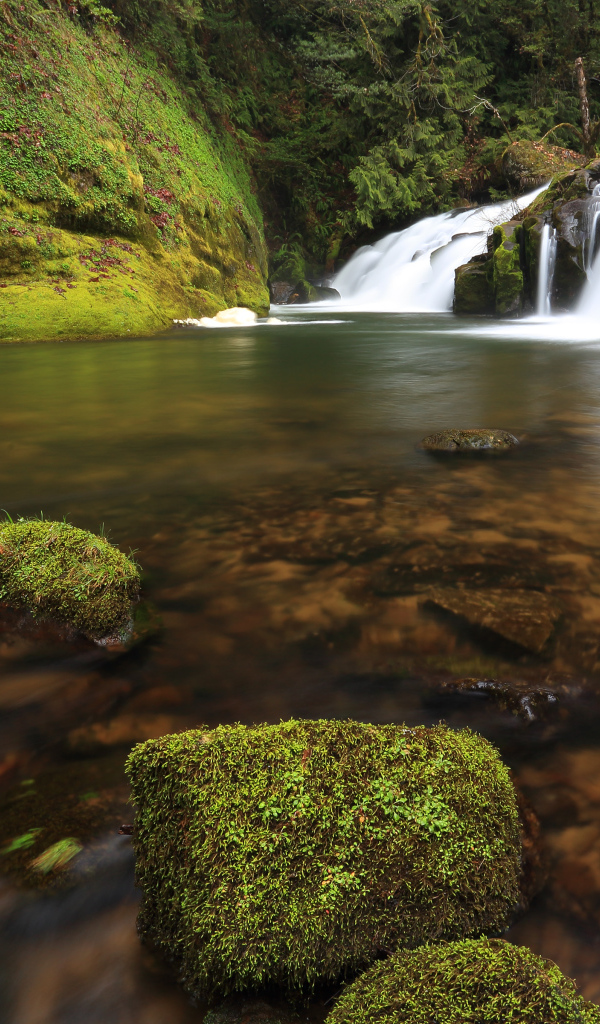 Маленькие водопады в штате Орегон, США