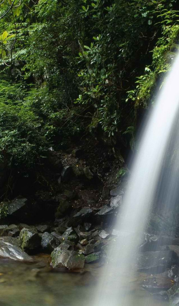 Струи воды водопада