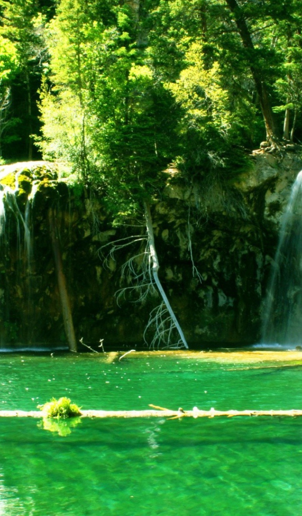 Прозрачные струи водопада