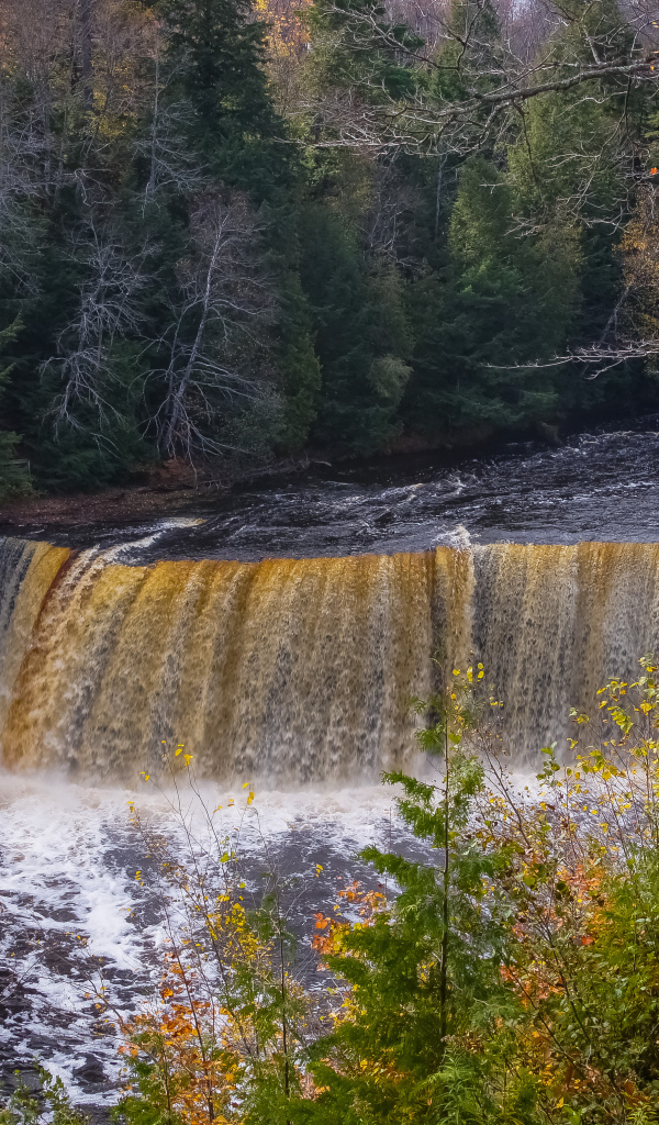 Коварный водопад среди леса