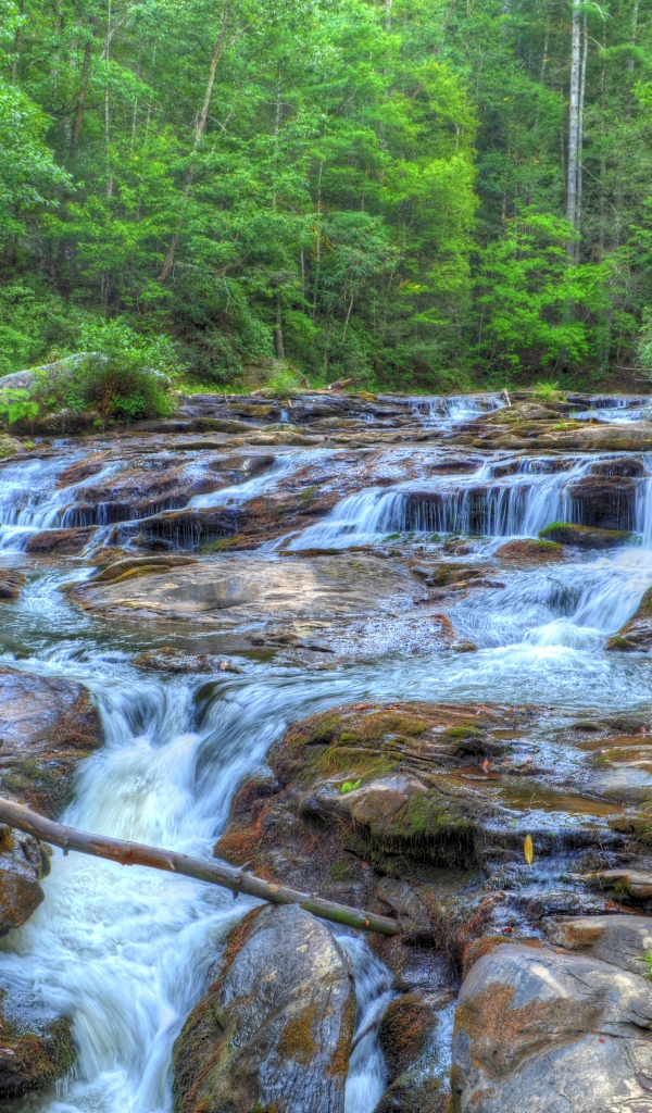 Водопад на лесной речушке