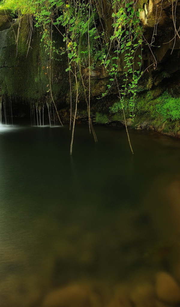 Водопад среди зеленой травы