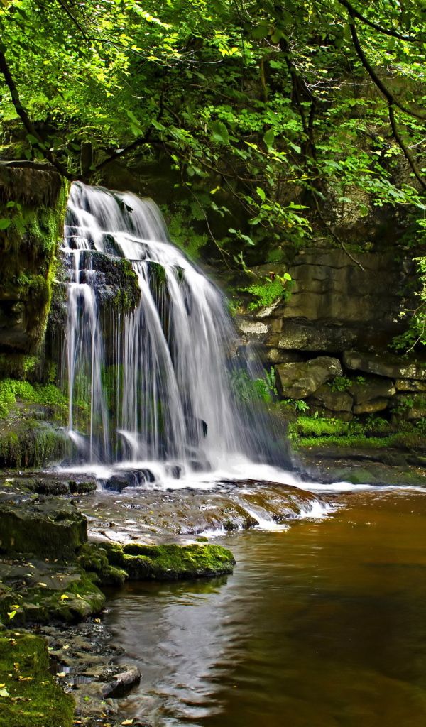 Маленький водопад в лесу