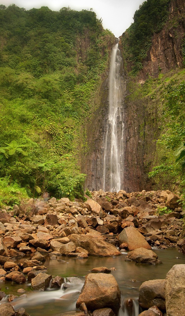 Джунгли вокруг водопада