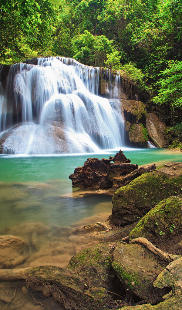 Водопад в густом лесу