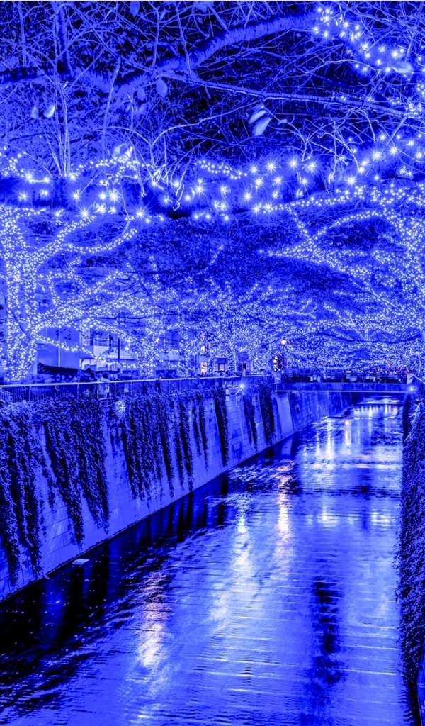 Новогодняя иллюминация в Токио