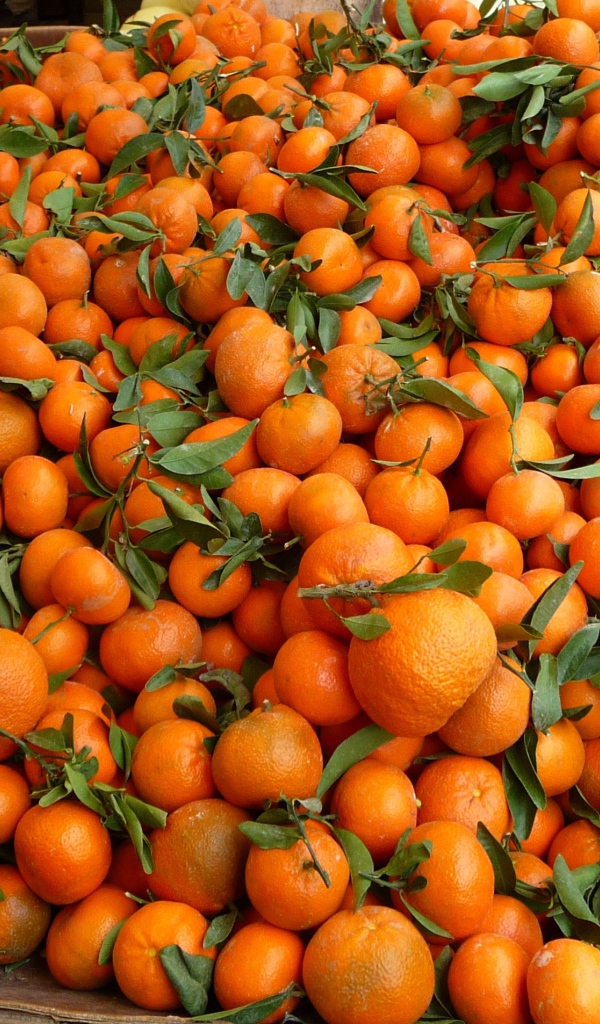 Мандариновый фон