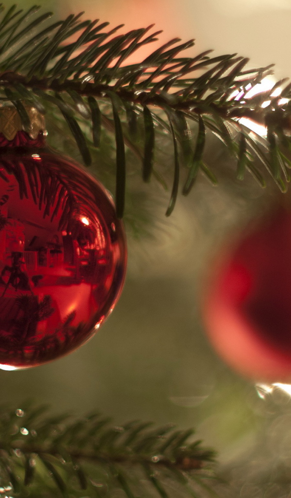 Красный шар на ветке