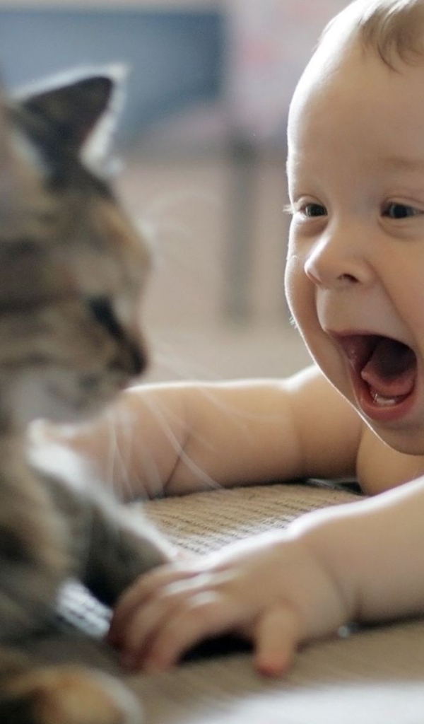 Ребенок играет с котом