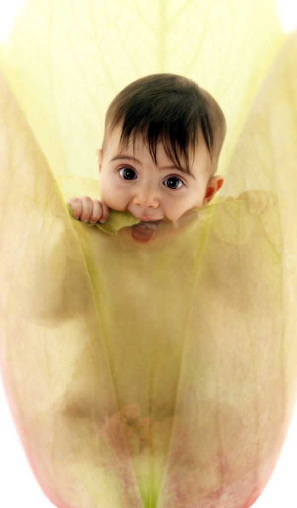 Энн Геддес милый ребенок